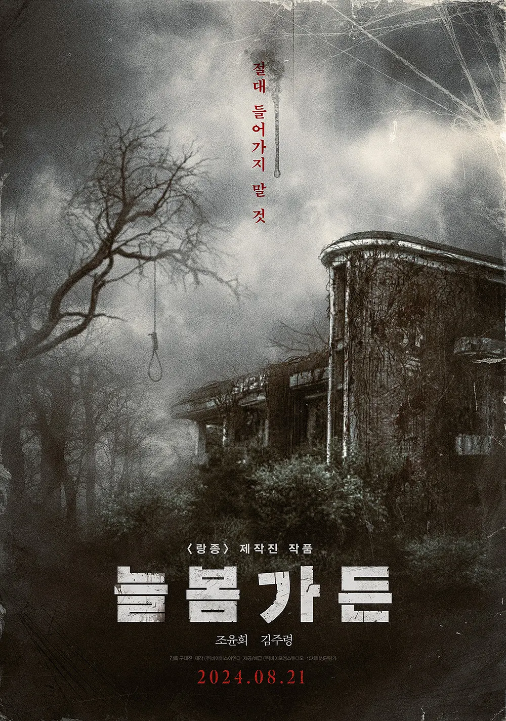 免费的无码毛片无限看