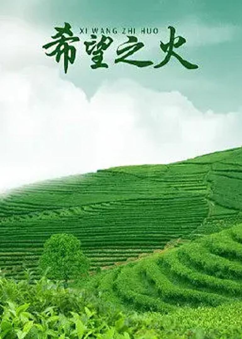 国产日韩精品中文字无码