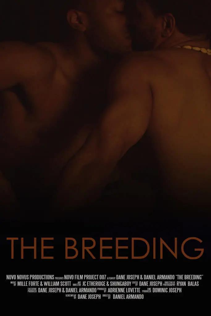 免费➕无码➕国产免费