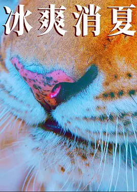 免费一级毛片完整版在线看 - 1080P免费观看韩国