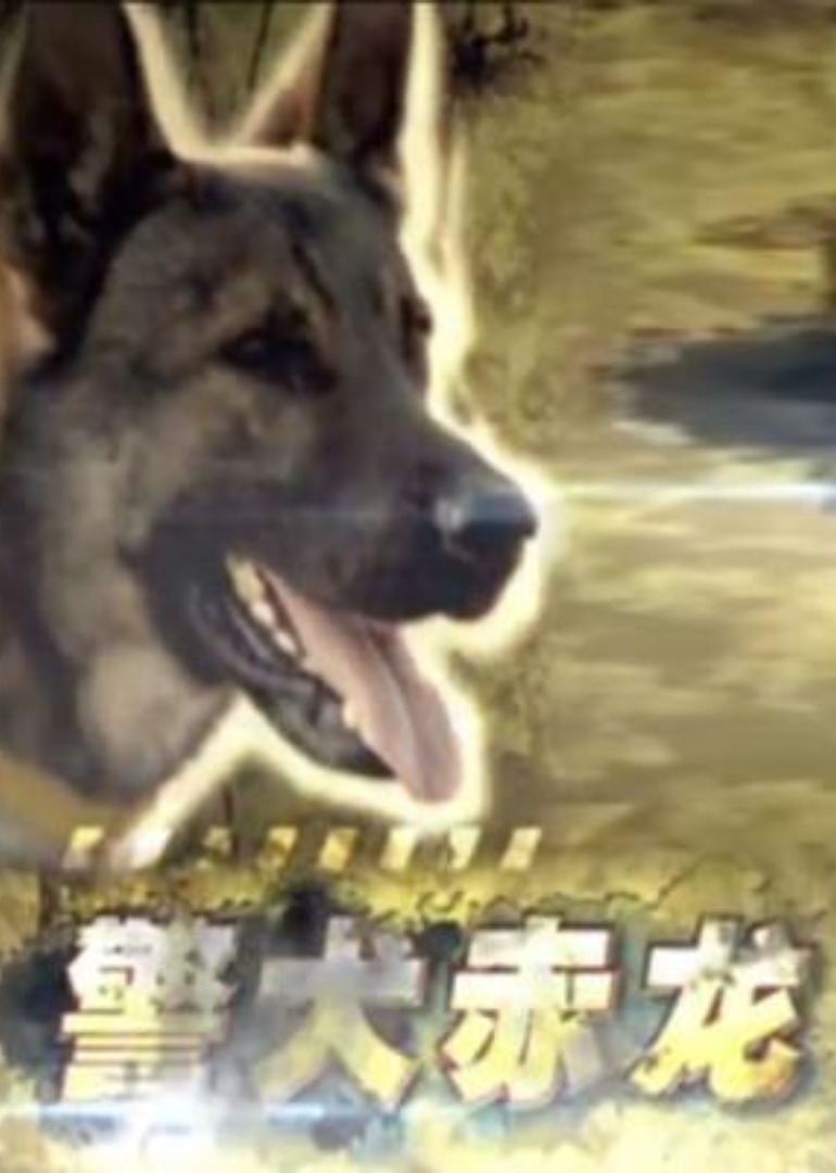 欧美日韩国产码高清综合一区wwwp_超碰97资源站_久久精品国产99国产精偷_亚洲av乱码久久精品蜜桃_51视频国产精品一区二区