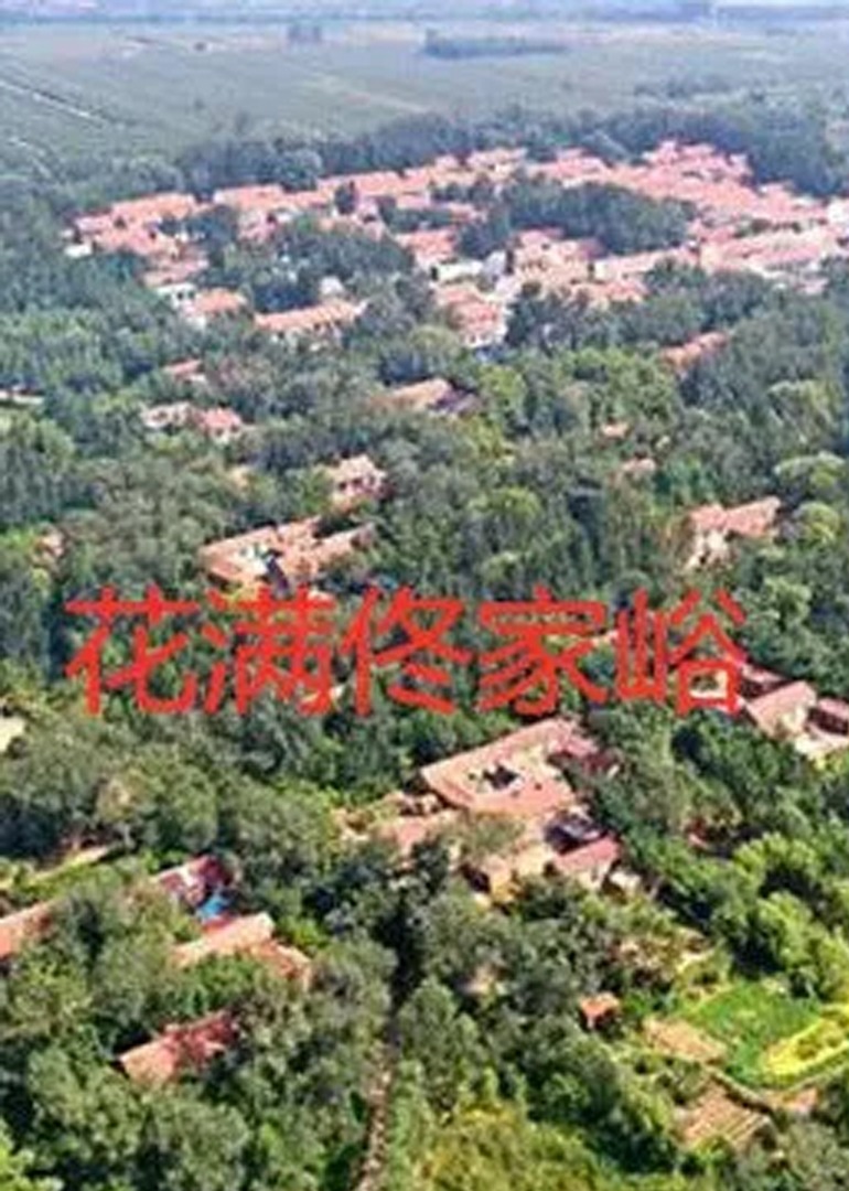 欧美激情视频在线