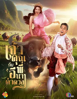午夜精品久久久久久久四虎美女版