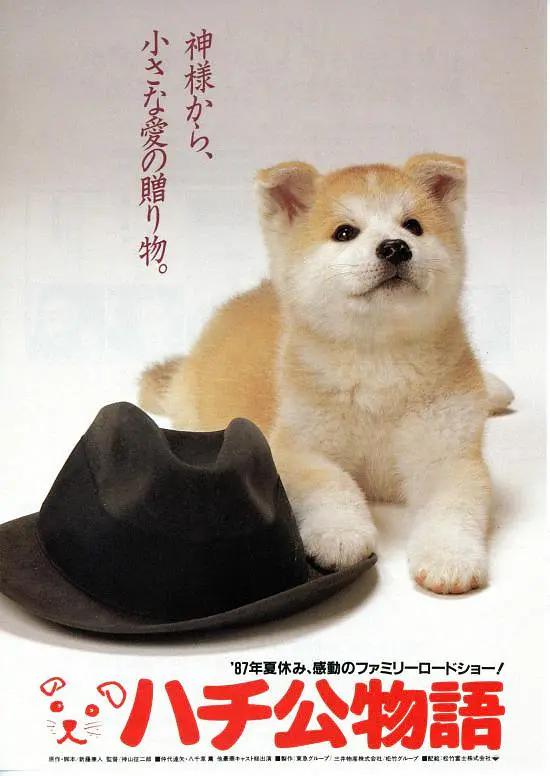 最美情侣国语版免费观看