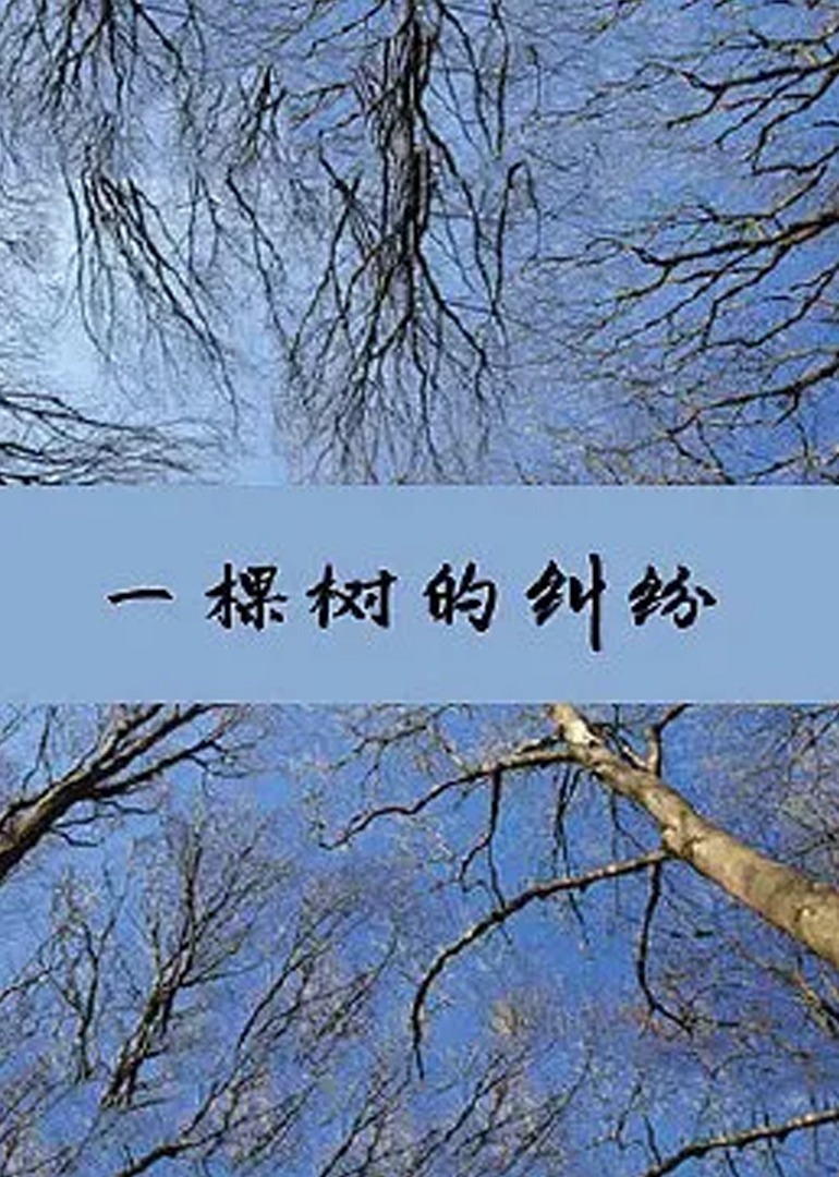 亚洲欧美日韩丝袜另类