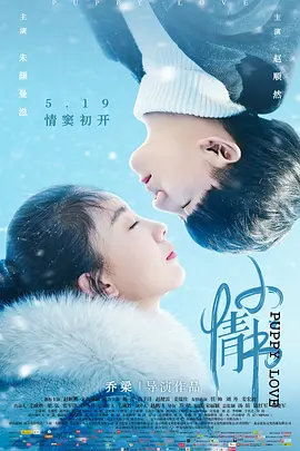 热门电影综艺电视剧在线观看