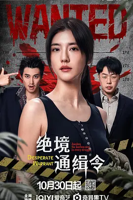 国产午夜免费视频片夜色