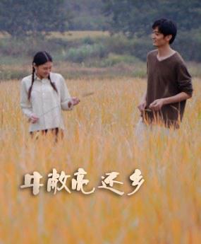 91在线视频国产