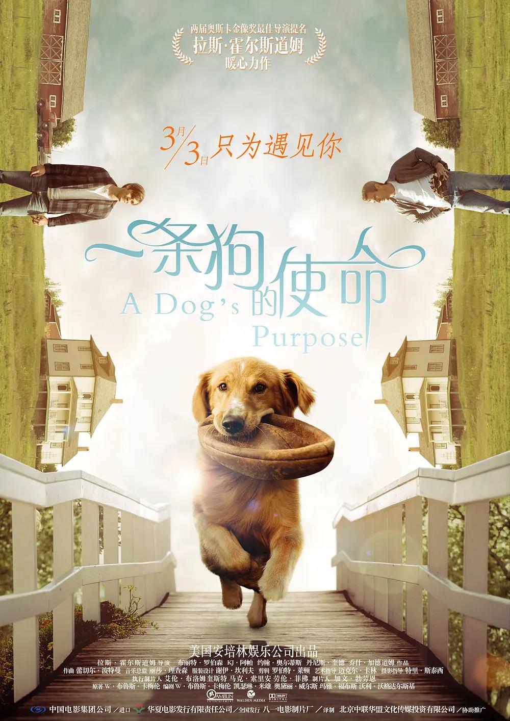 成年女人黄小视频 - DVD电影完整版