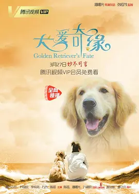 免费无码国产v片在线观看_精品一区二区三区在线观看_人人妻人人澡人人爽_国产99久久九九精品无码 - 完整版电影在线观看
