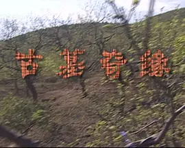 亚洲涩情91日韩一区二区